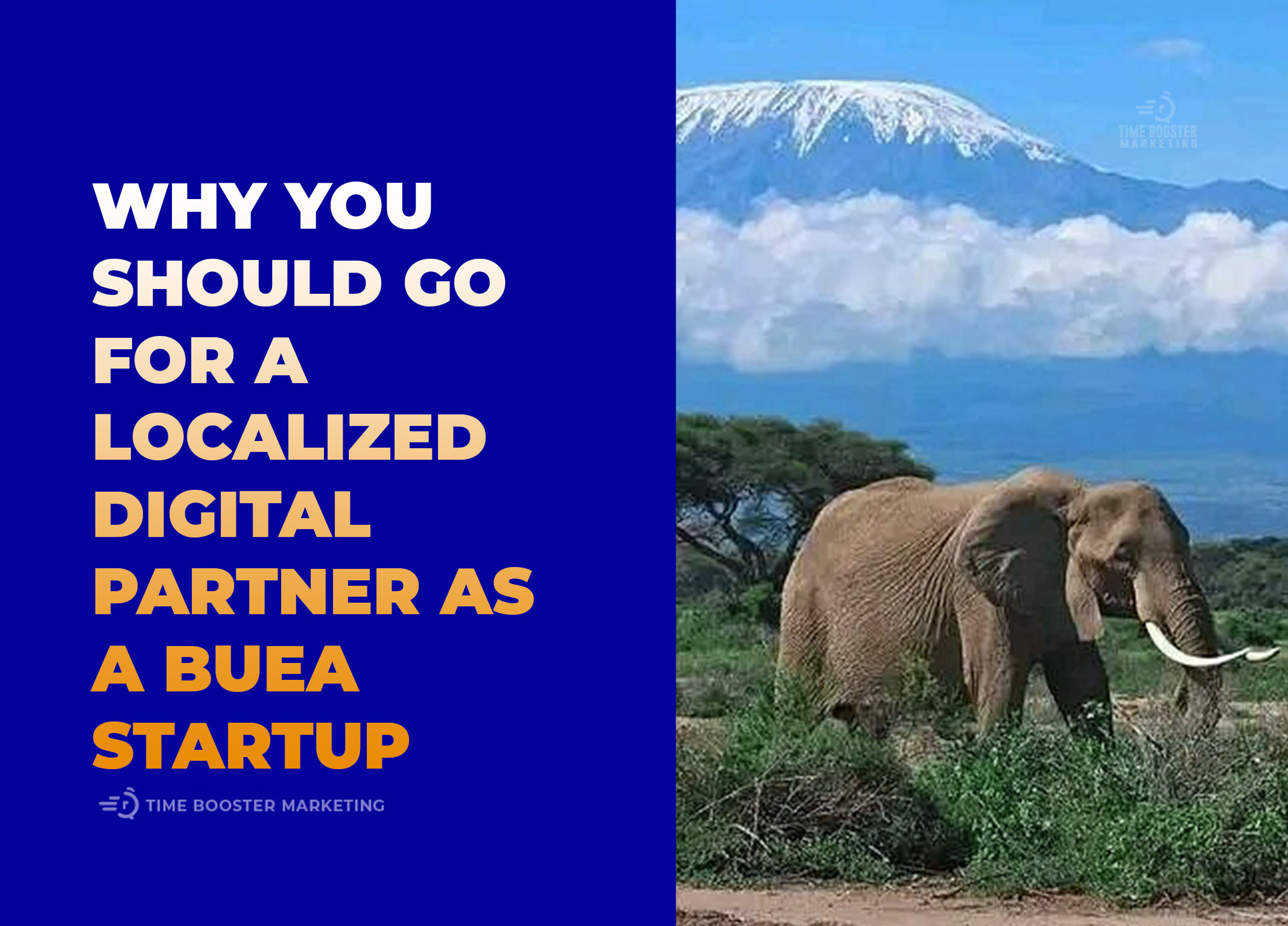 Buea startups marketing