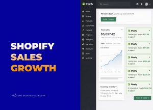 Shopify Web Designs in Cameroon