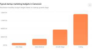 Typical startup marketing budgets in Cameroon